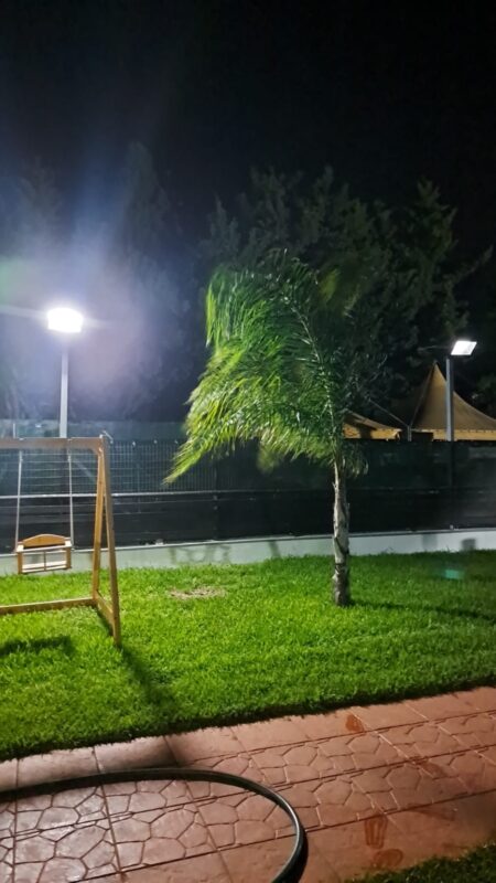 Immagine #1 da Bruno Vol. da Latina