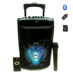 Cassa Amplificata Karaoke 2000W Bluetooth | Microfono Wireless Incluso