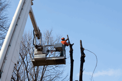 Kit potatura Forbice Cesoia + Motosega 6" Doppia Batteria 48V + Asta Telescopica 240mm + Guanti e Occhialini OMAGGIO