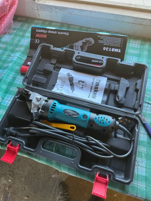 Immagine #1 da Adam K.