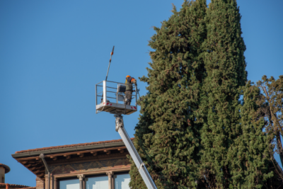 Forbice Da Potatura Doppia Batteria 96V | Cesoia Elettrica 2.0AH 40mm Tagliarami con Valigetta