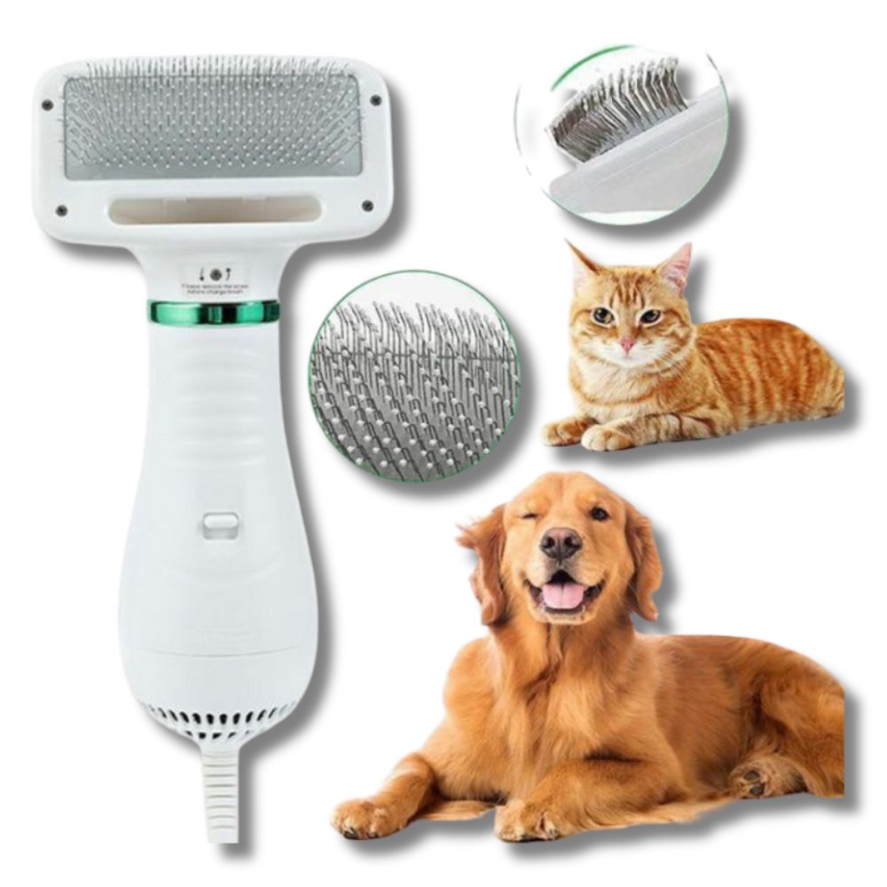 Spazzola Phon 2 in 1 Animali Domestici Asciuga e Pettina Peli – Rumore Basso 2 Velocità 👉 Seguici su Instagram per scoprire tutte le novità firmate Pezzella Shop: illuminazione solare da giardino, accessori per esterni, soluzioni eco-friendly e idee smart per la tua casa. 👍 Metti "Mi piace" alla nostra pagina Facebook per accedere a offerte esclusive, consigli pratici su prodotti per il fai da te, l’outdoor e l’arredo giardino. Resta aggiornato con le migliori promo! 🐾 Scopri la sezione Animali Domestici di Pezzella Shop: accessori, prodotti per la cura, giochi e soluzioni pratiche per il benessere dei tuoi amici a quattro zampe.