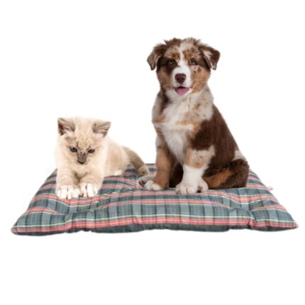 Cuccia Rettangolare Cuscino Morbido 50x35cm Taglia Piccola per Cani e Gatti Materassino Senza Bordi