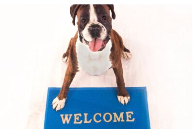 Tappetino Refrigerante 90x50cm Tappeto Rinfrescante per Animali Domestici, Auto, Giardino, Pavimento 