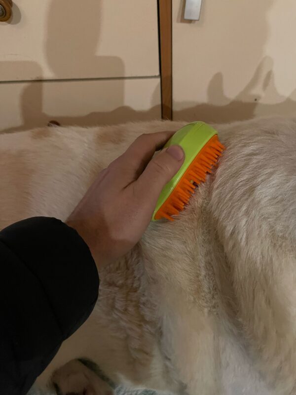 Immagine #4 da luigi