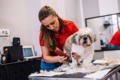 Rasoio Macchina Tosatrice per Pelo Animali 4 Lunghezze 3-6-9-12mm Ricaricabile USB, Cani, Gatti, Conigli
