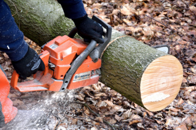 Kit Potatura 3 pz Doppia Batteria 48V con Motosega 8" con Oliatore + Forbice Cesoia 30mm Digitale + Asta Telescopica fino a 3m + Guanti e Occhialini omaggio