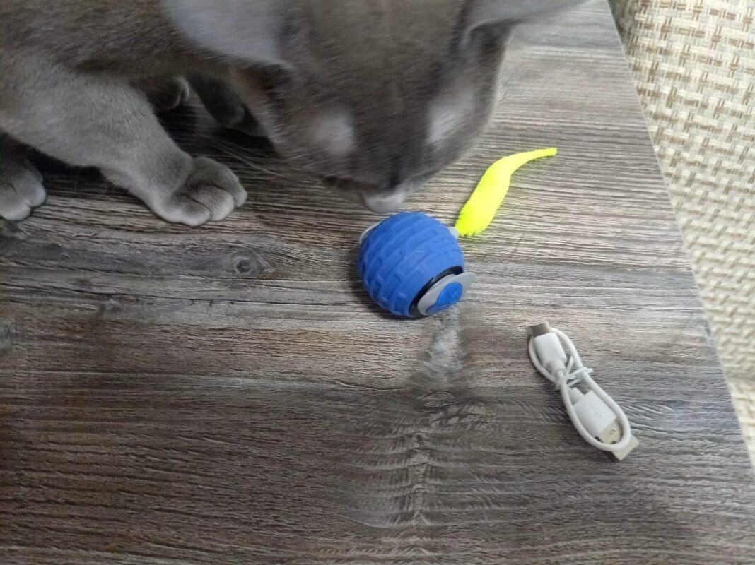 Immagine #1 da domenica