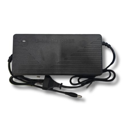 Caricabatterie-a-Litio-6V-48V-5A-Caricatore-Rapido-Input-180v-240v-50hz-