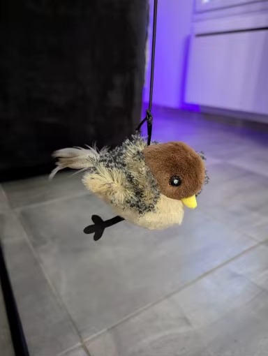 Immagine #2 da rosalba