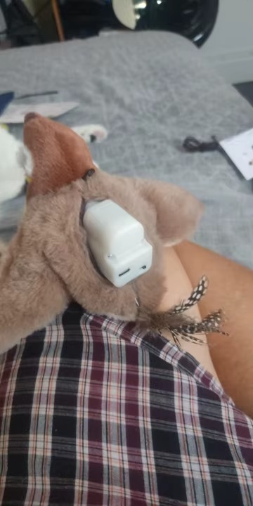 Immagine #3 da davide