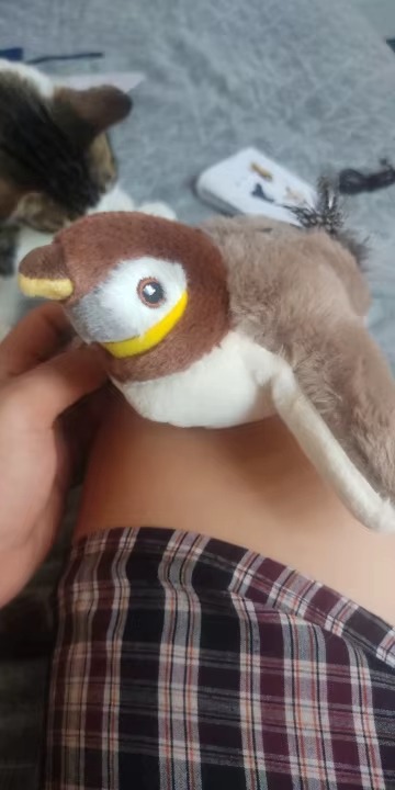 Immagine #4 da davide