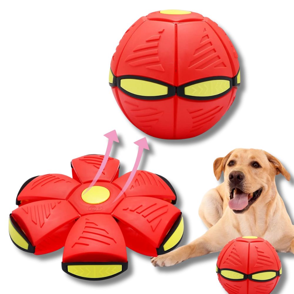 Frisbee che si Trasforma in Palla Volante Giocattolo per Cani 2 in 1 Interattivo con Luci Frisbee che si Trasforma in Palla Volante Giocattolo per Cani 2 in 1 Interattivo con Luci