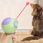 Lancia Croccantini per Cani e Gatti Pistola con Raggio Infrarossi e Interazione Gioco