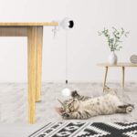 Giocattolo Interattivo per Gatti con Corda Automatica | Palla Elettrica Sollevamento Educativa