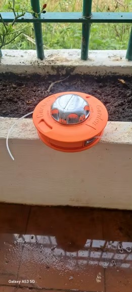 Immagine #2 da sergio