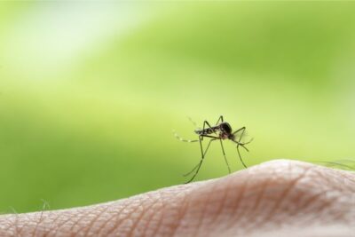 lampada-led-antizanzare-con-ventola-uv-trappola-360-silenziosa-per-insetti/