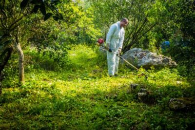 Testina Universale Filo Tagliaerba Batti e Vai | Ricambio M10x1.5 per Albero Dritto 